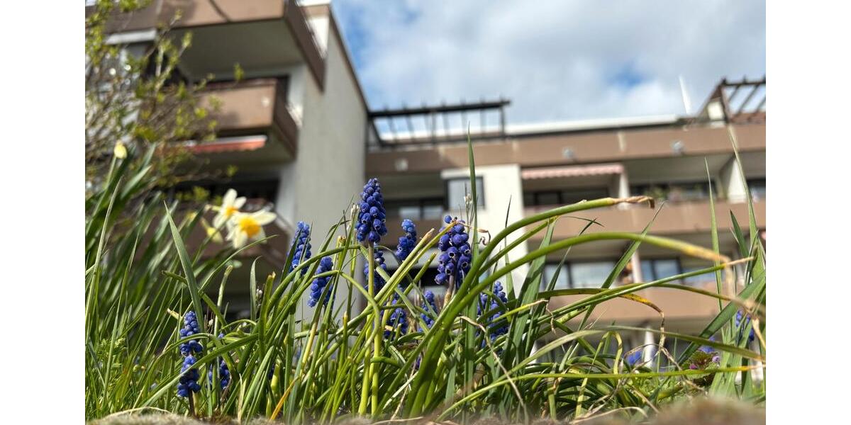 Etagenwohnung Wiesbaden Nordost - 1 Zimmer, 28 m&sup2;, 135.000&euro; | Angebot:26648438