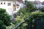 Dachgeschoßwohnung Mainz Laubenheim - 1 Zimmer, 33 m&sup2;, 625&euro; | Angebot:26340253