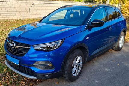 Opel Grandland (X) 19.500 km 23.900 € Gross Gerau 64521