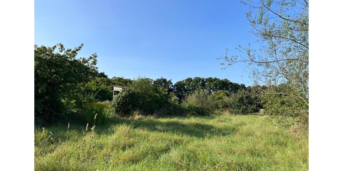 Grundstück Ingelheim am Rhein - 50&euro; | Angebot:20808490
