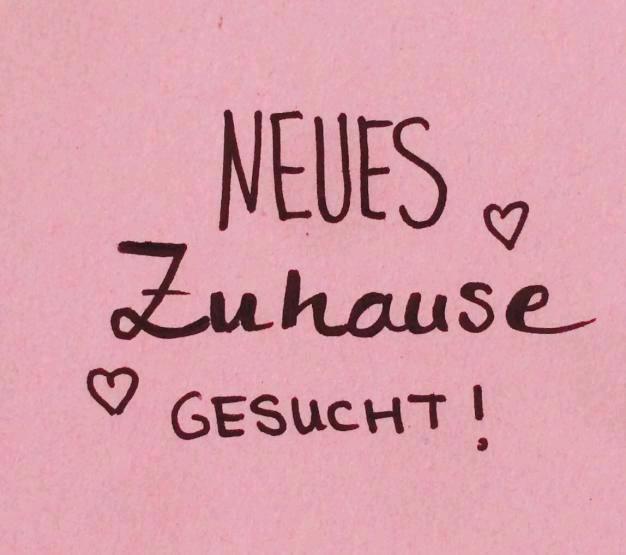 Etagenwohnung Bad Schwalbach - 3 Zimmer, 70 m&sup2;, 900&euro; | Angebot:25548914