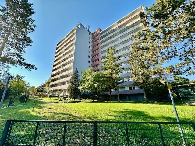 Wohnung zum Mieten in Mainz 480 € 34 m² 1 zimmer