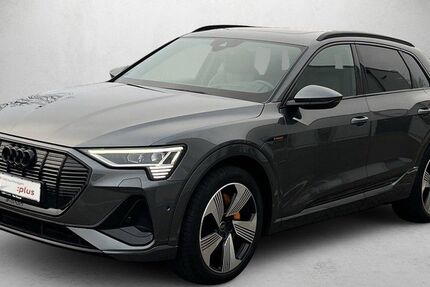 Audi e-tron 81.282 km 36.730 &euro; Mainz 55131