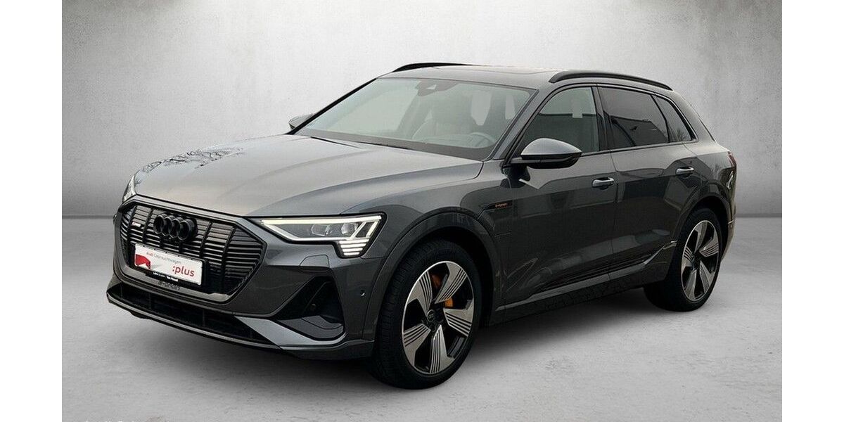 Audi e-tron 81.282 km 36.730 &euro; Mainz 55131