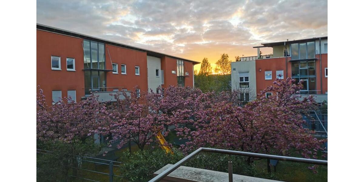 Etagenwohnung Wiesbaden Dotzheim - 1 Zimmer, 42 m&sup2;, 700&euro; | Angebot:26592075