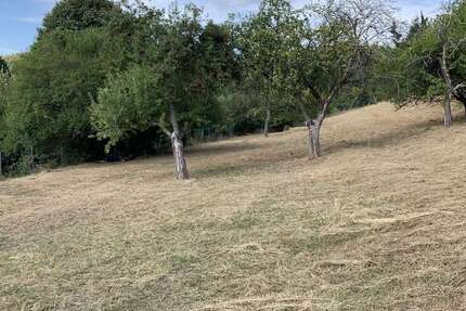 Grundstück zu verkaufen in Schmitten-Arnoldshain 190.000 € 943 m² zimmer