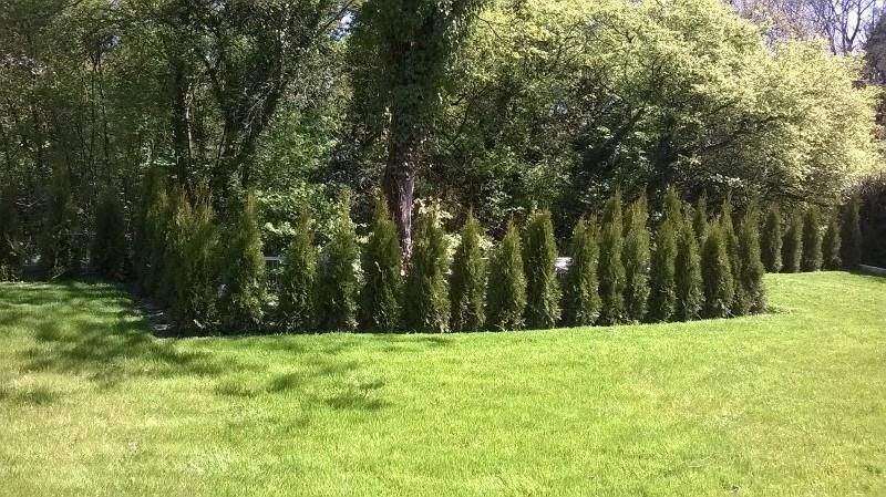 Doppelhaushälfte Wiesbaden Nordost - 6 Zimmer, 252 m&sup2;, 1.935.000&euro; | Angebot:24040897