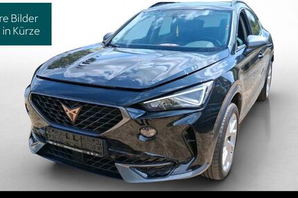 Cupra Formentor 35.730 km 24.990 &euro; Hofheim-Diedenbergen 65719