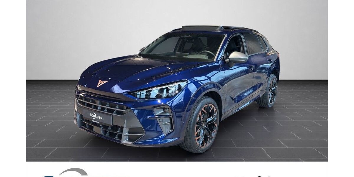 Cupra Terramar 5.900 km 58.980 &euro; Bingen / Rhein 55411