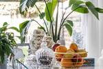 Reihenendhaus Frankfurt am Main Praunheim - 4 Zimmer, 106 m&sup2;, 645.000&euro; | Angebot:26275960
