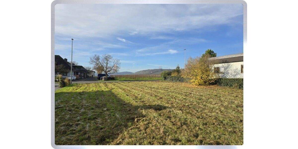 * Geisenheim: 925 m² Baugrundstück in toller Randlage * zimmer