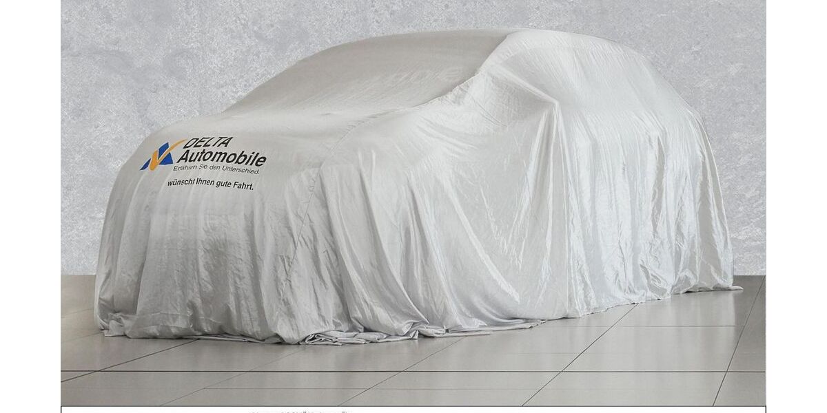 Hyundai IONIQ 45.000 km 16.890 &euro; Mainz-Kastel 55252