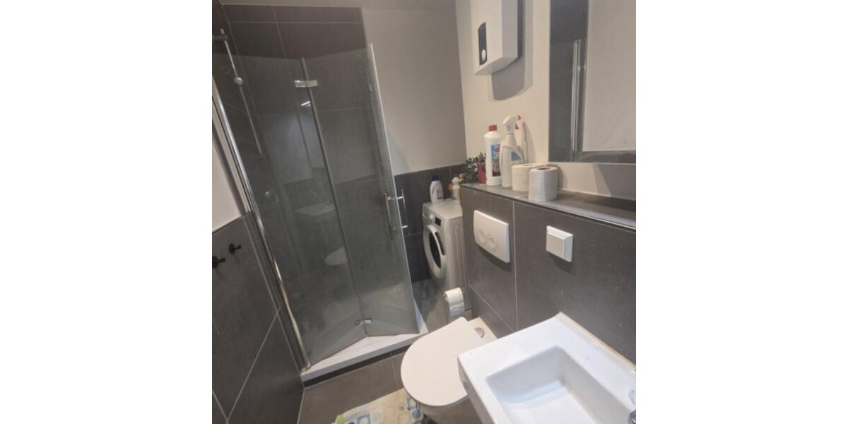 Etagenwohnung Hattersheim am Main - 1 Zimmer, 20 m&sup2;, 610&euro; | Angebot:25239303