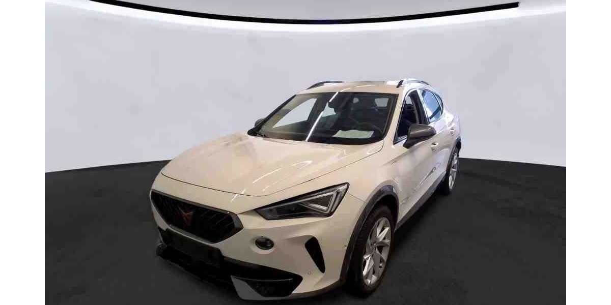 Cupra Formentor 26.741 km 25.490 &euro; Bad Camberg 65520