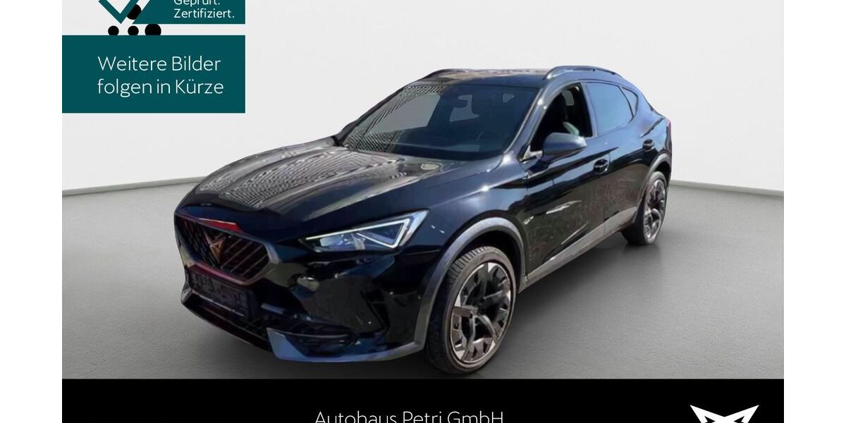 Cupra Formentor 56.555 km 27.430 &euro; Hofheim-Diedenbergen 65719
