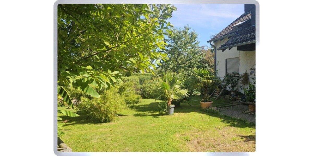 * Oestrich-Winkel: Freistehendes Einfamilienhaus in direkter Feldrandlage * 6 zimmer