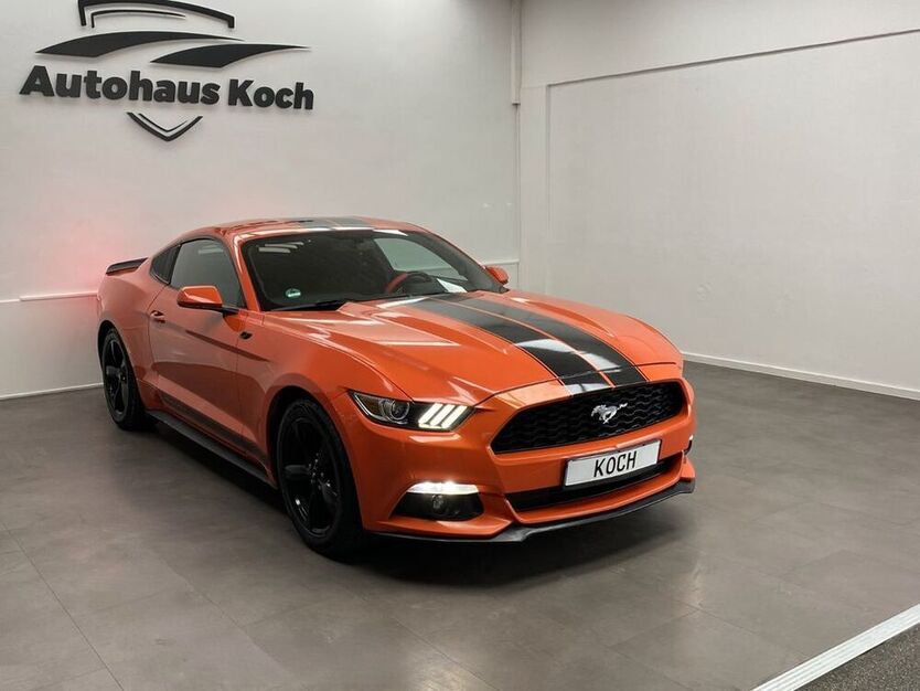 Mustang
