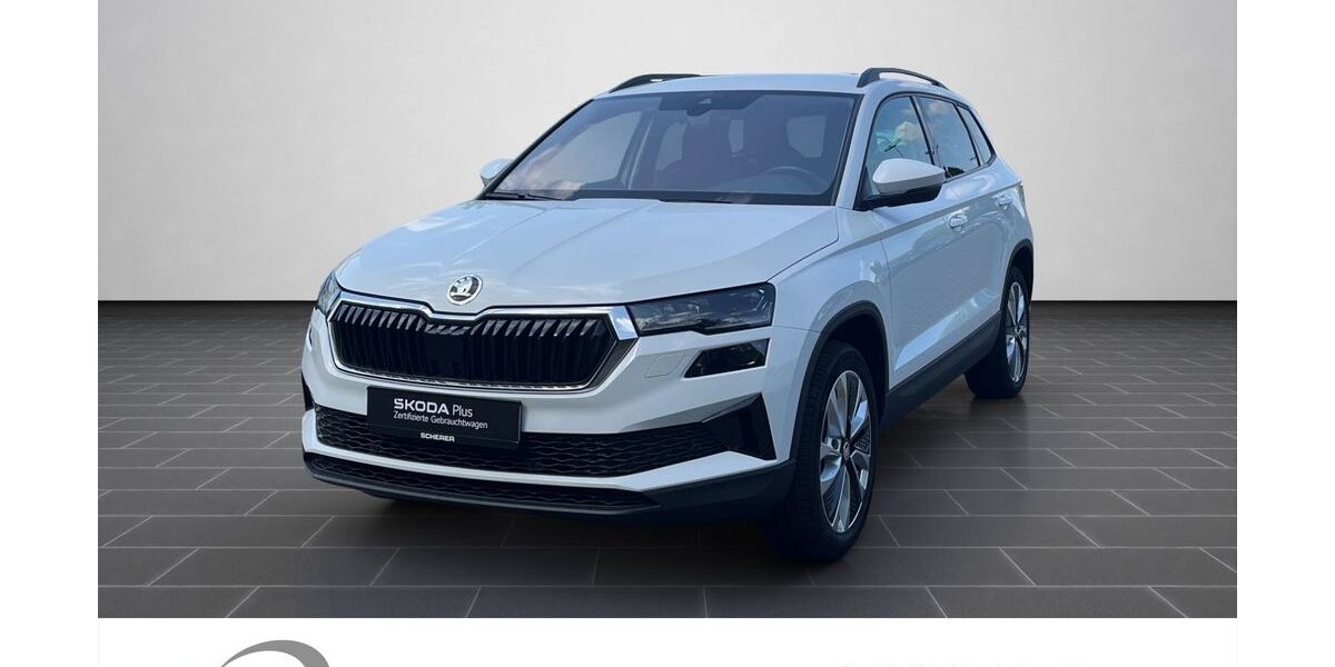 Skoda Karoq 119.507 km 16.600 € Mainz 55129