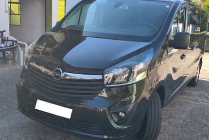 Opel Vivaro 142.296 km 19.500 &euro; Groß-Gerau 64521
