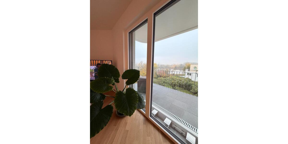 Fully Furnished Premium Apartment with Direct Rhine River Access 3 zimmer