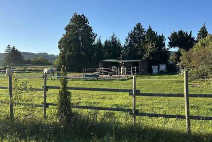 Wohnung zum Kaufen in Eltville am Rhein 349.000 € 91 m² 3 zimmer