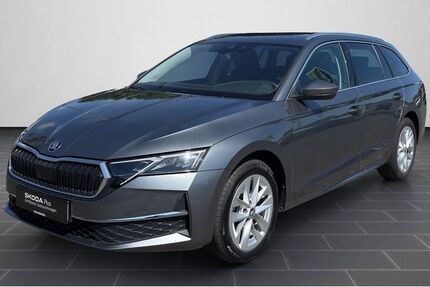 Skoda Octavia 27.455 km 28.800 &euro; Mainz 55129