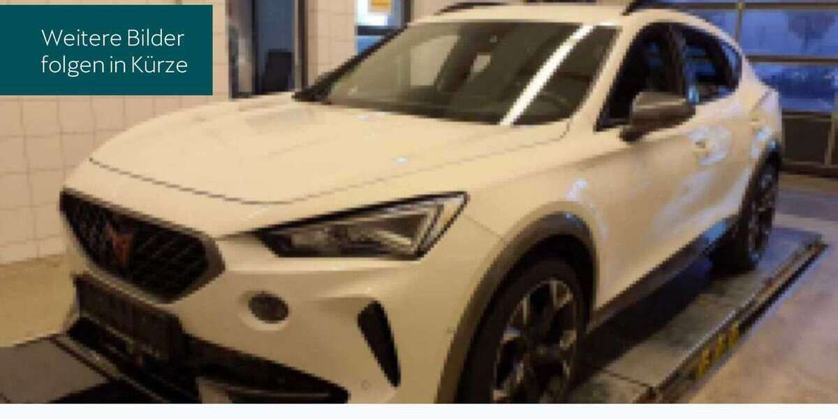 Cupra Formentor 38.851 km 26.930 &euro; Hofheim 65719