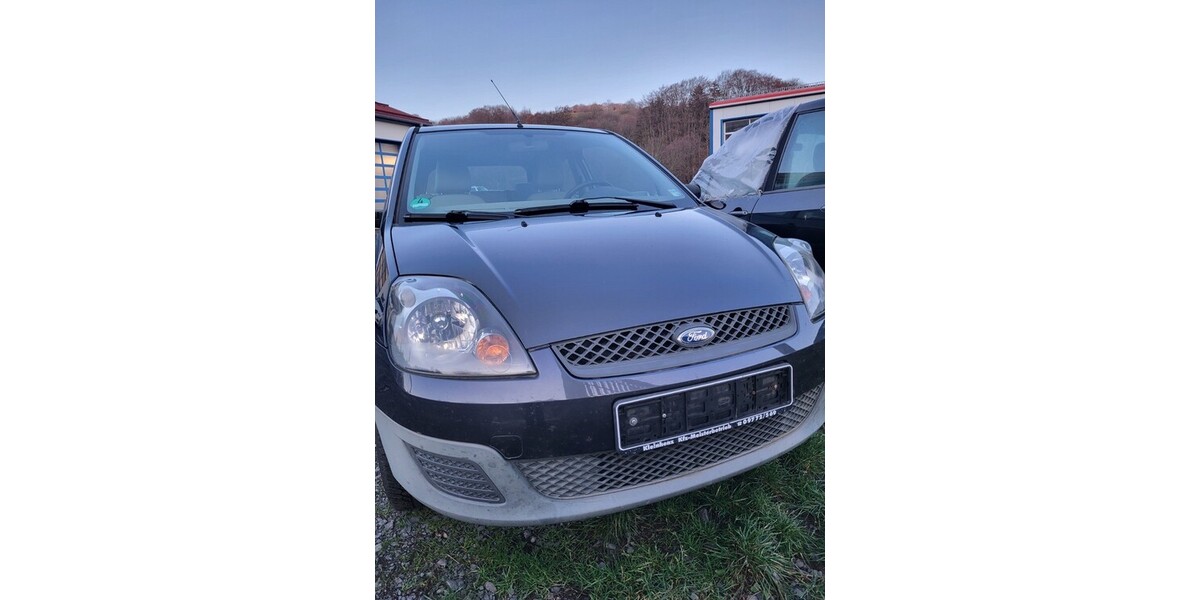 Ford Fiesta 149.059 km 1.900 € Bischofsheim 65474
