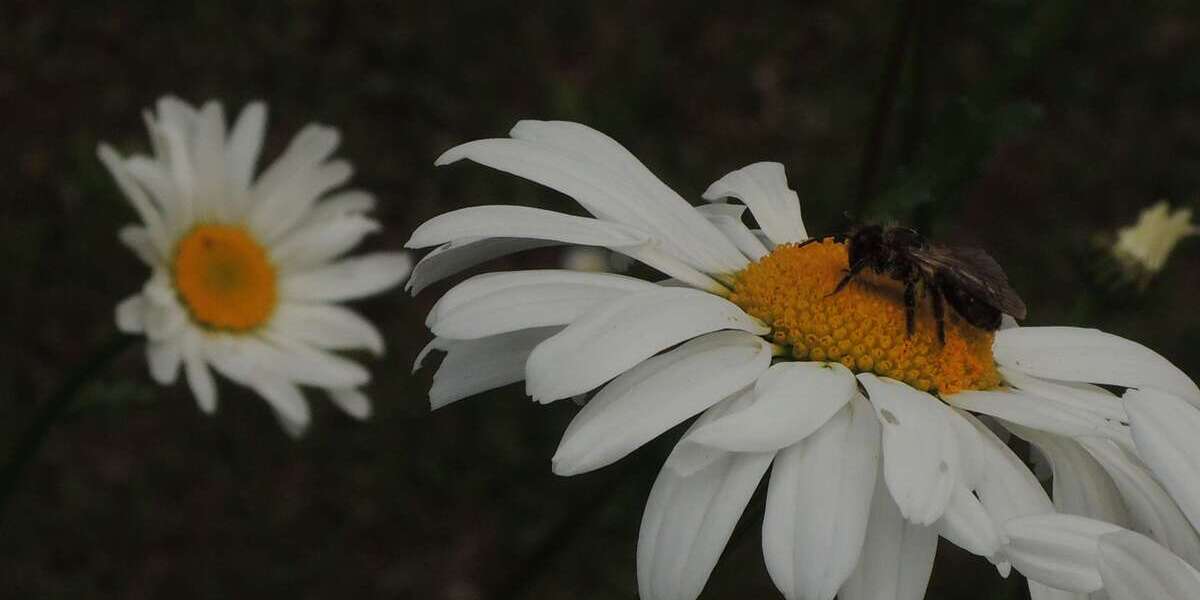 Grundstück zu verkaufen in Niedernhausen 255.000 € 364 m² zimmer