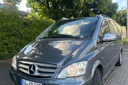 Mercedes Viano
