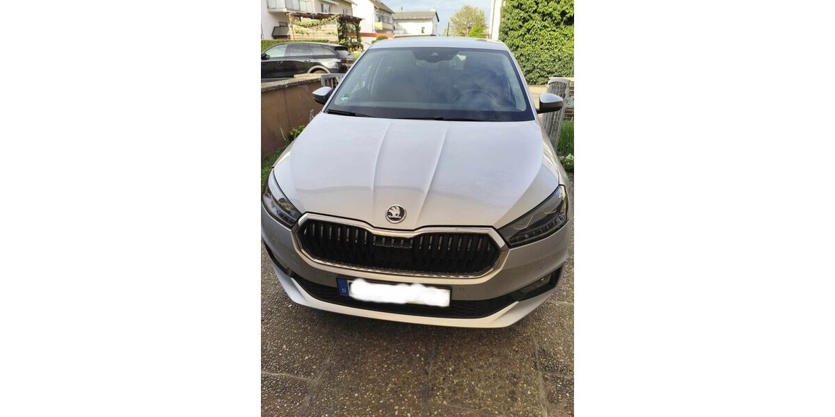 Skoda Fabia 24.450 km 17.200 &euro; Trebur 65468