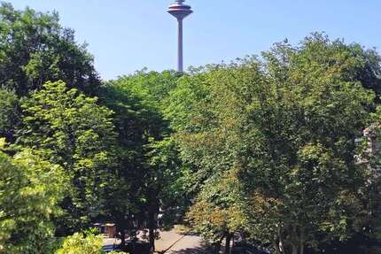 Wohnung zum Mieten in Frankfurt am Main 3.500 € 130 m²