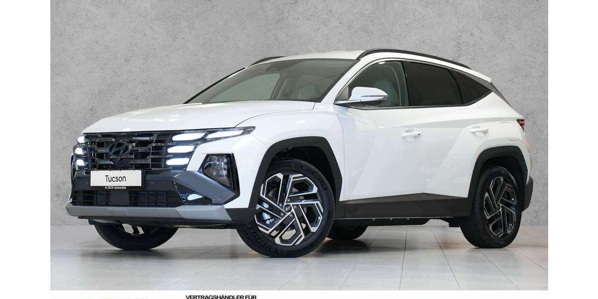 Hyundai TUCSON 38.769 km 30.480 &euro; Mainz-Kastel 55252