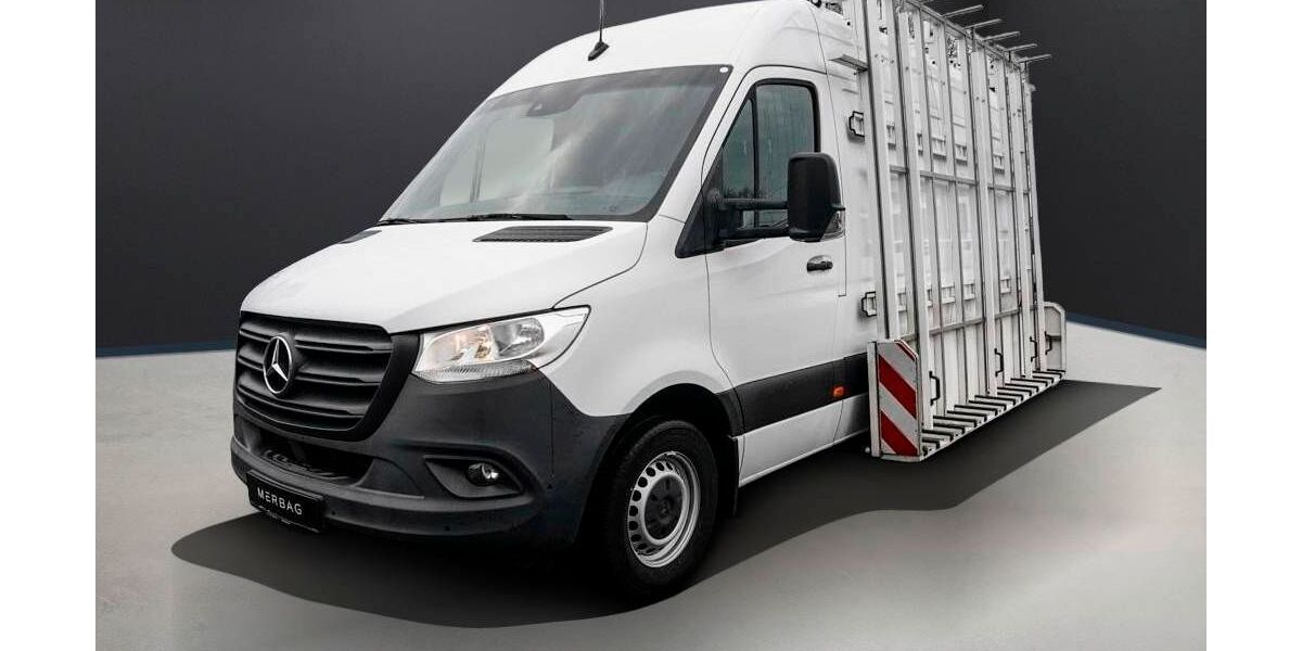 Mercedes-Benz Sprinter 33.500 km 44.625 &euro; Wiesbaden-Schierstein 65201