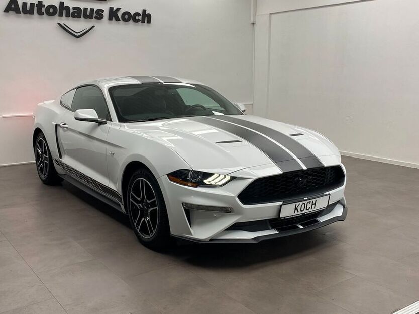 Mustang