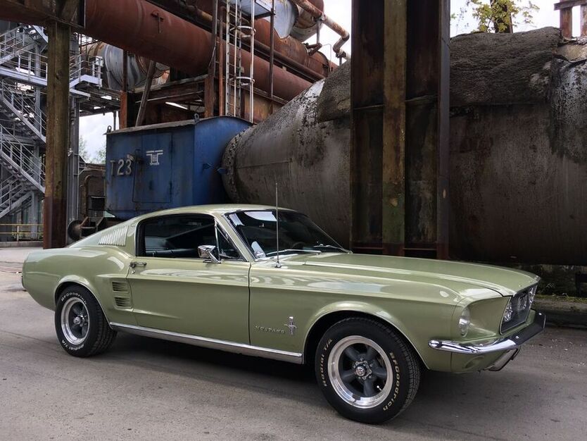 Mustang