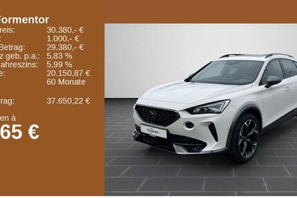 Cupra Formentor 24.462 km 30.380 &euro; Mainz 55129