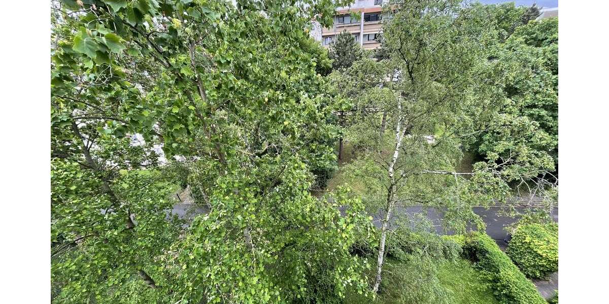 Etagenwohnung Hochheim am Main - 2 Zimmer, 63 m&sup2;, 209.000&euro; | Angebot:26748835