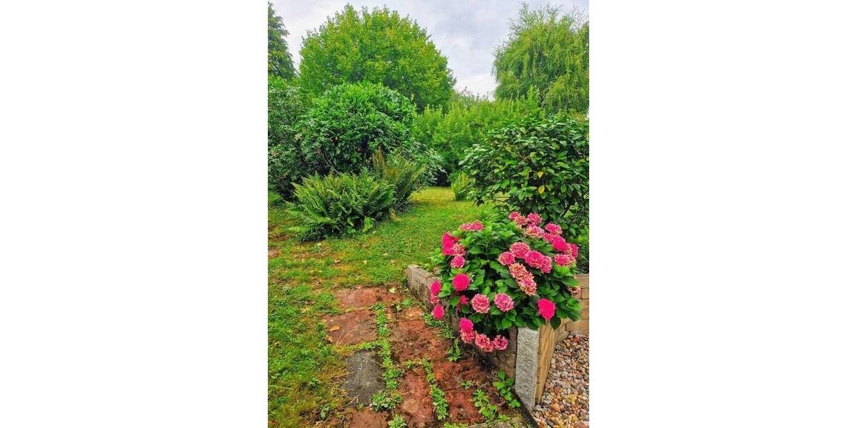 Frisch renoviert: 4-Zimmer-Wohnung mit Gemeinschaftsgarten, Balkon und Wintergarten 4 zimmer