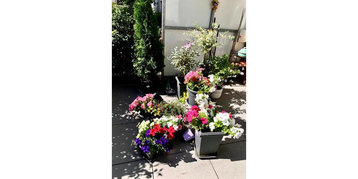 Etagenwohnung Frankfurt am Main Bockenheim - 3 Zimmer, 82 m&sup2;, 610.000&euro; | Angebot:26008025