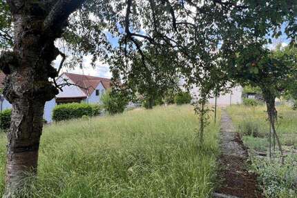 Grundstück zu verkaufen in Wiesbaden 439.000 € 627 m² zimmer