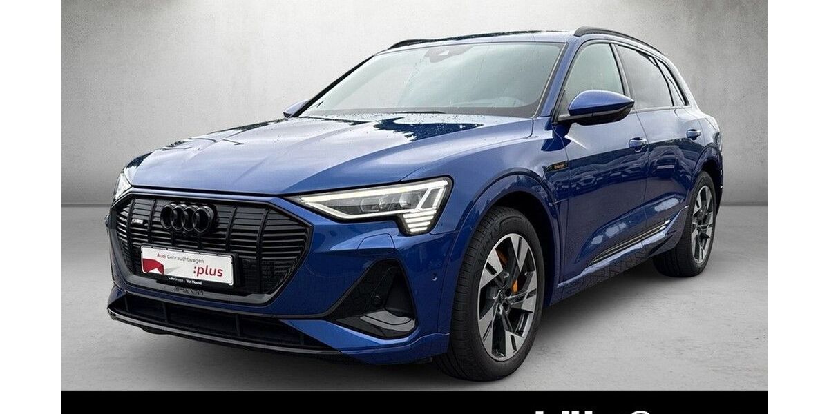 Audi e-tron 62.224 km 40.880 &euro; Mainz 55131