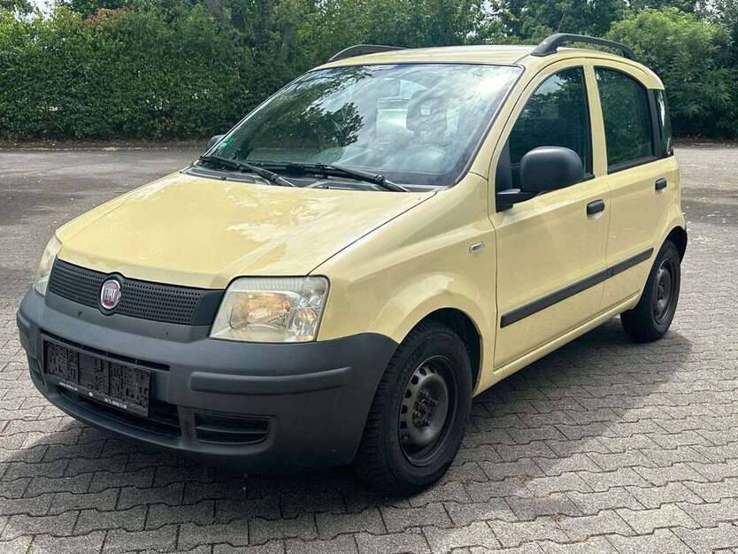 Panda
