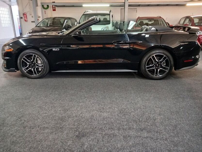 Mustang