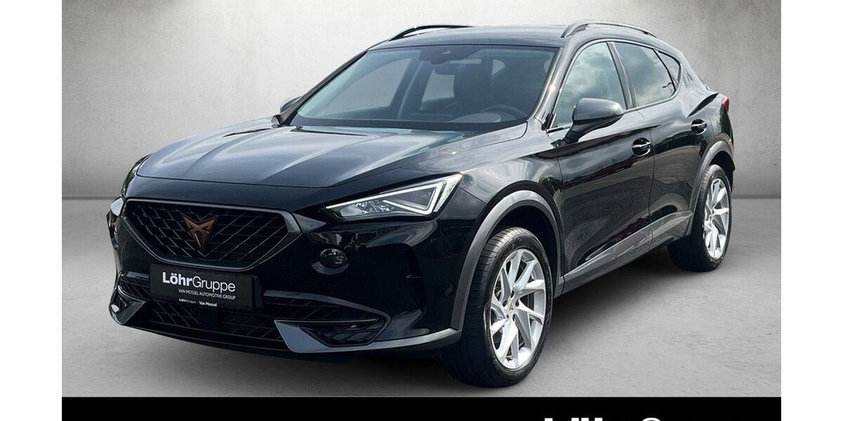 Cupra Formentor 20.250 km 27.890 &euro; Mainz 55120