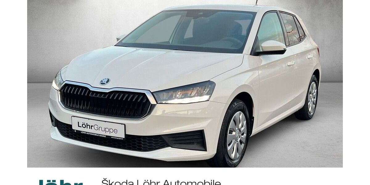 Skoda Fabia 13.439 km 17.880 &euro; Mainz 55120