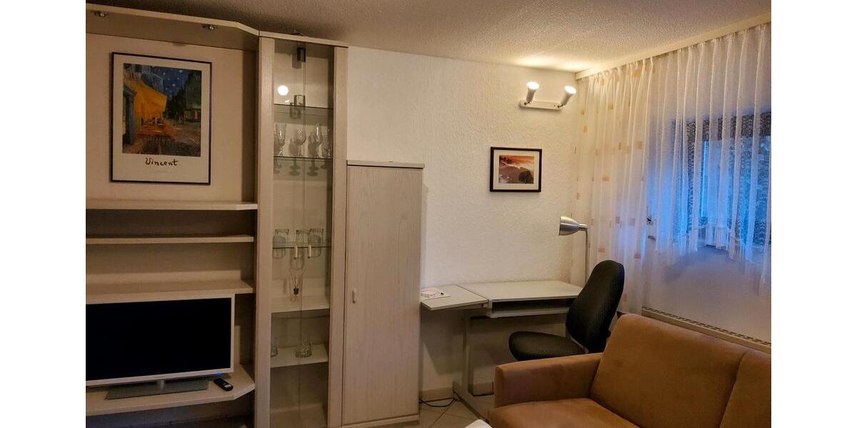Helles möbliertes 1-Zimmer Apertment mit EBK 1 zimmer