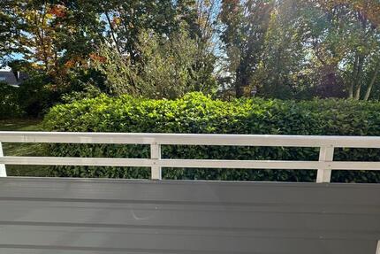 Helle, frisch renovierte 3-Zi-Whg mit neuer Küche 2 Loggien 3 zimmer