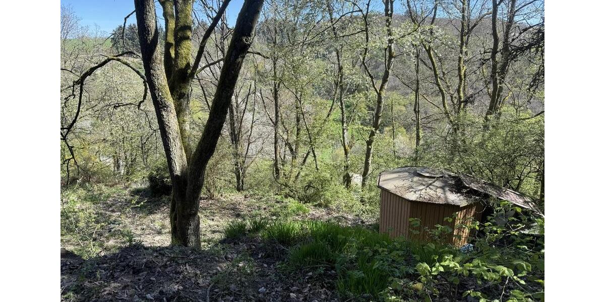 Bungalow Rüdesheim am Rhein - 2.5 Zimmer, 50 m&sup2;, 139.000&euro; | Angebot:26797047