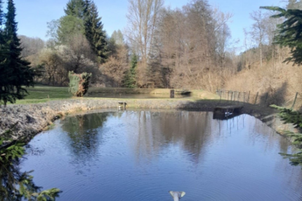 Grundstück in Dillenburg 49.999 € 3034 m²